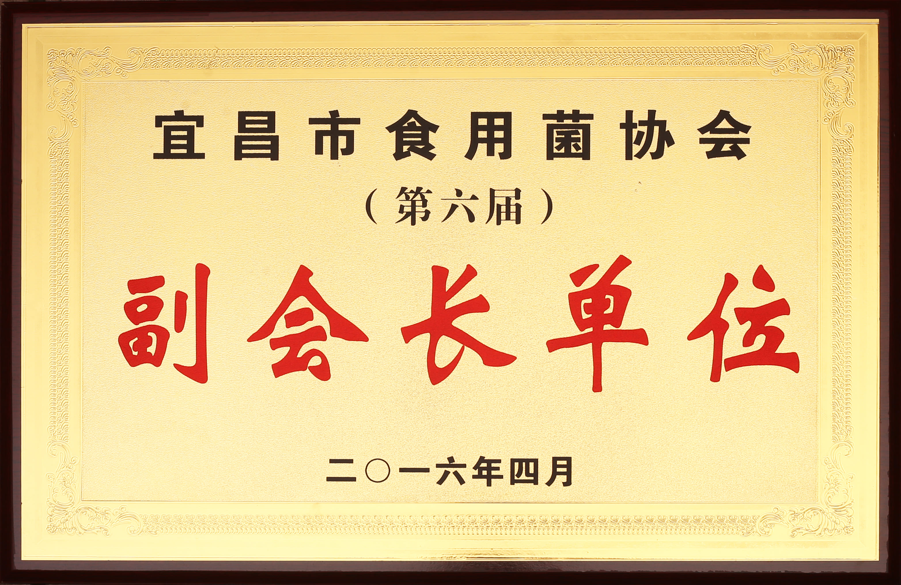 宜昌食用菌協(xié)會(huì).jpg